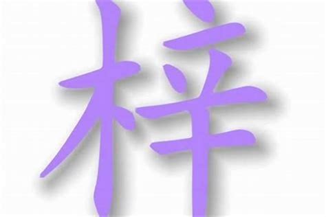 熙的意思名字|熙字取名的含义是什么